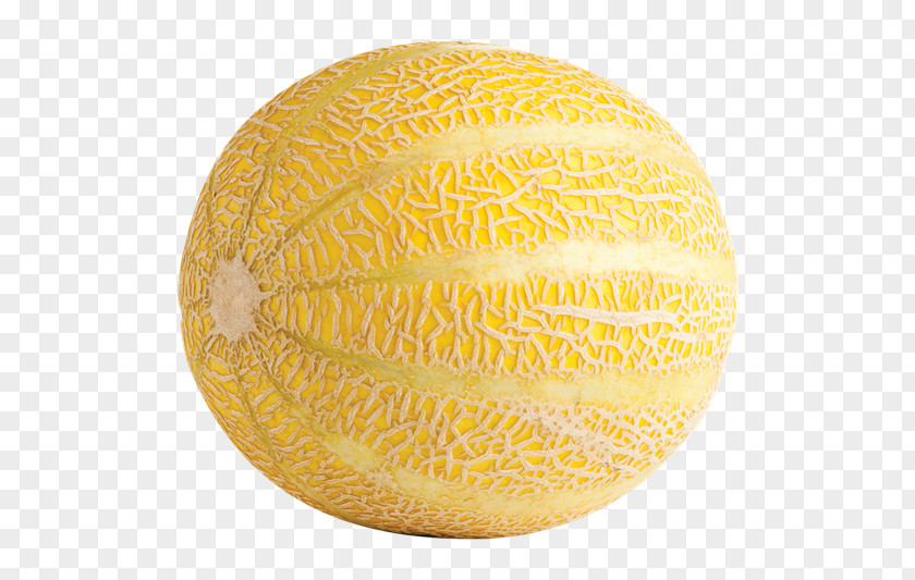 Cantaloupe Melon Honeydew Galia SGI SBC HEDGING TR SF Sphere PNG