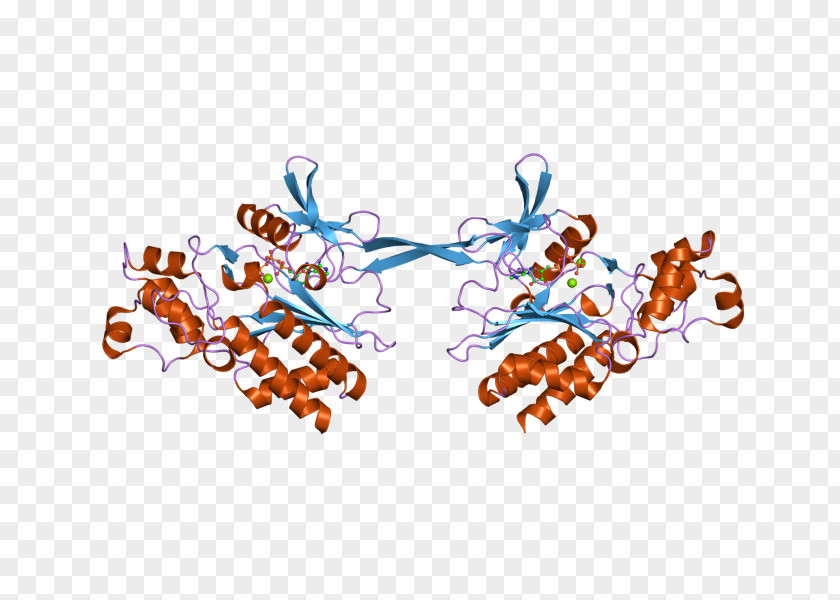 Ebi GSTM2 Glutathione S-transferase M2 (muscle) PNG