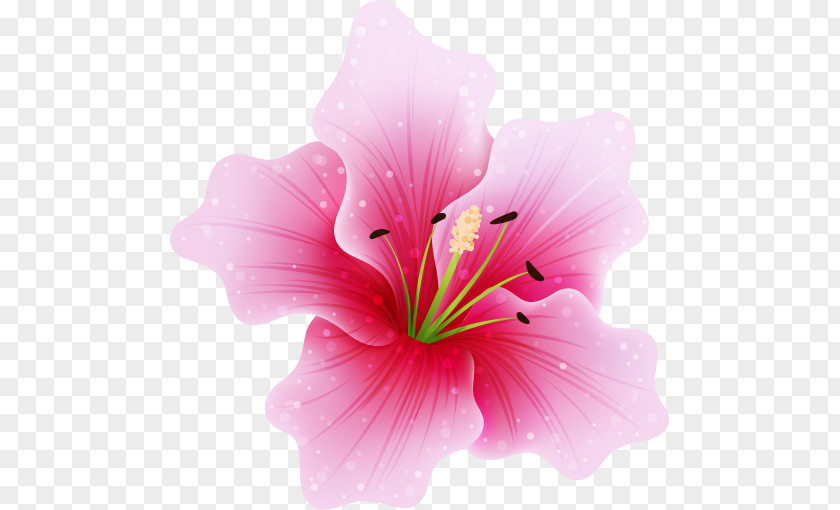 Jasmin Flower Pink Flowers Fuchsia Clip Art PNG