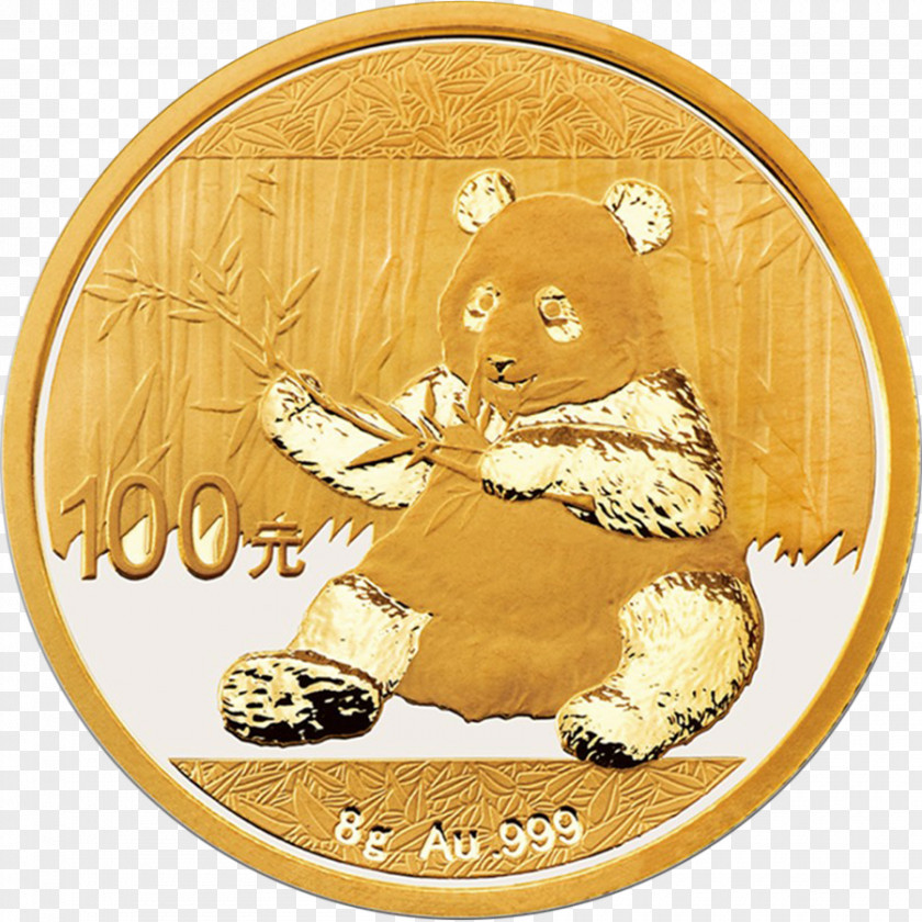 Coin Giant Panda Chinese Gold PNG