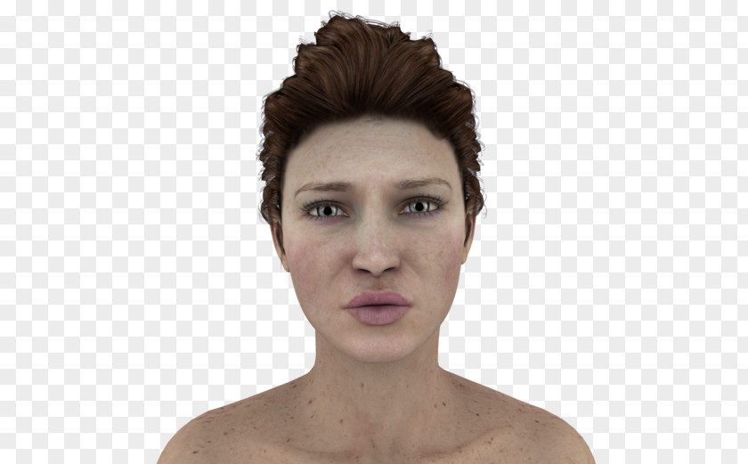 Face Facial Expression Model PNG