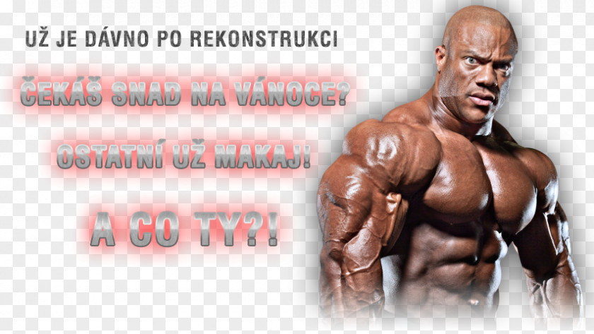 Fitness Banner Design Mr. Olympia Arnold Sports Festival International Federation Of BodyBuilding & PNG