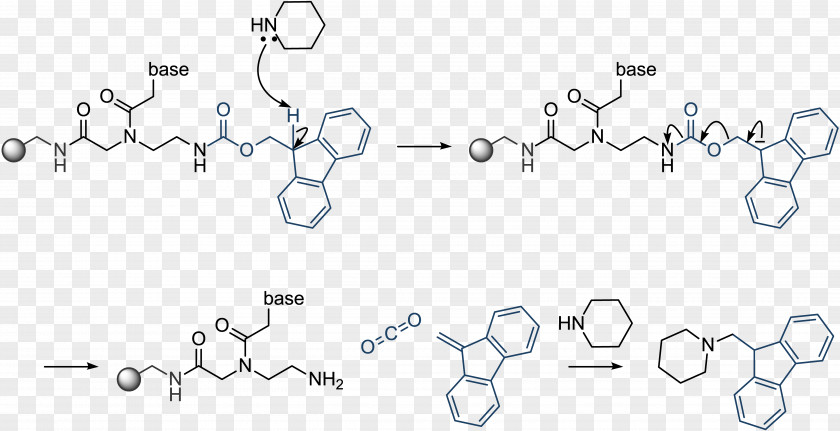 Fluorenylmethyloxycarbonyl Protecting Group Chloride HBTU Peptide Nucleic Acid PNG