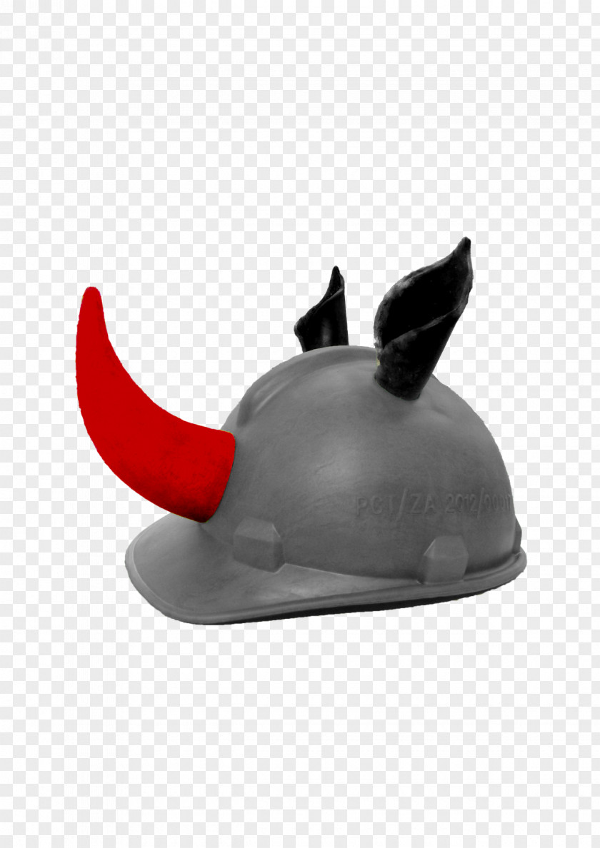 Hat Marine Mammal PNG