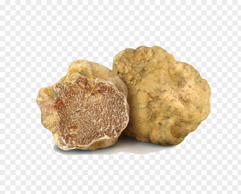 La Rotonda Dei Bagni Palmieri Alba San Miniato Piedmont White Truffle Tuber Oregonense PNG