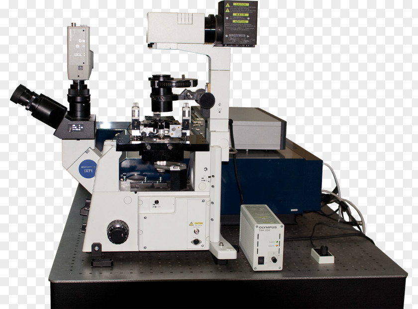 Microscope Optical Scanning Probe Microscopy Confocal Atomic Force PNG