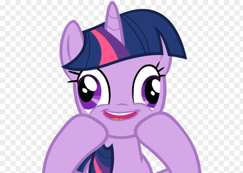 My Little Pony Twilight Sparkle Rainbow Dash Pinkie Pie Rarity Applejack PNG