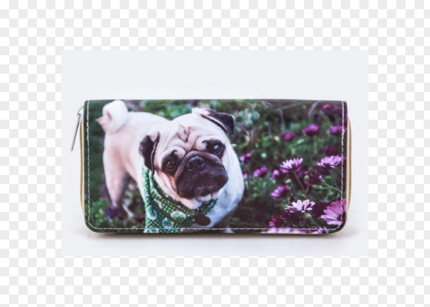 Puppy Pug Desktop Wallpaper Cuteness PNG