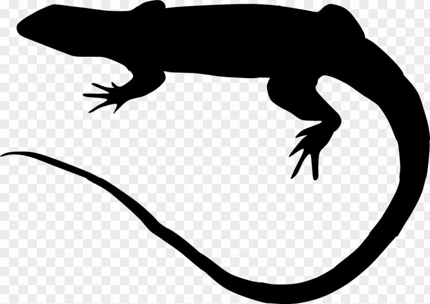 Silhouette Largemouth Bass Drawing PNG
