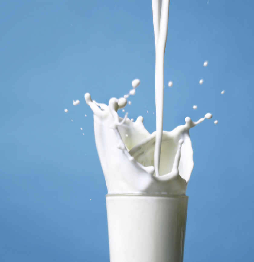 Milk Raw Dairy Products Food PNG