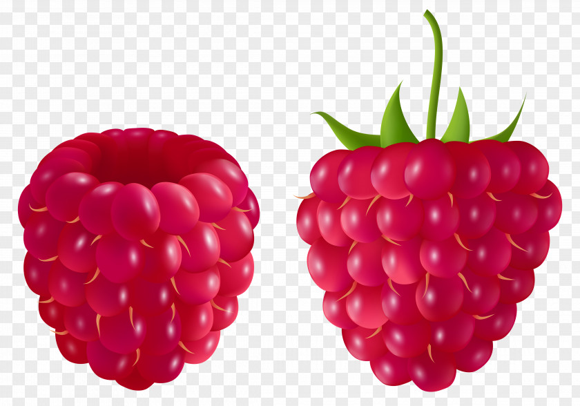 Transparent Raspberry Clipart Picture Blackberry Fruit Clip Art PNG