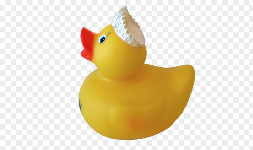 Duck Rubber Yellow Natural Toy PNG