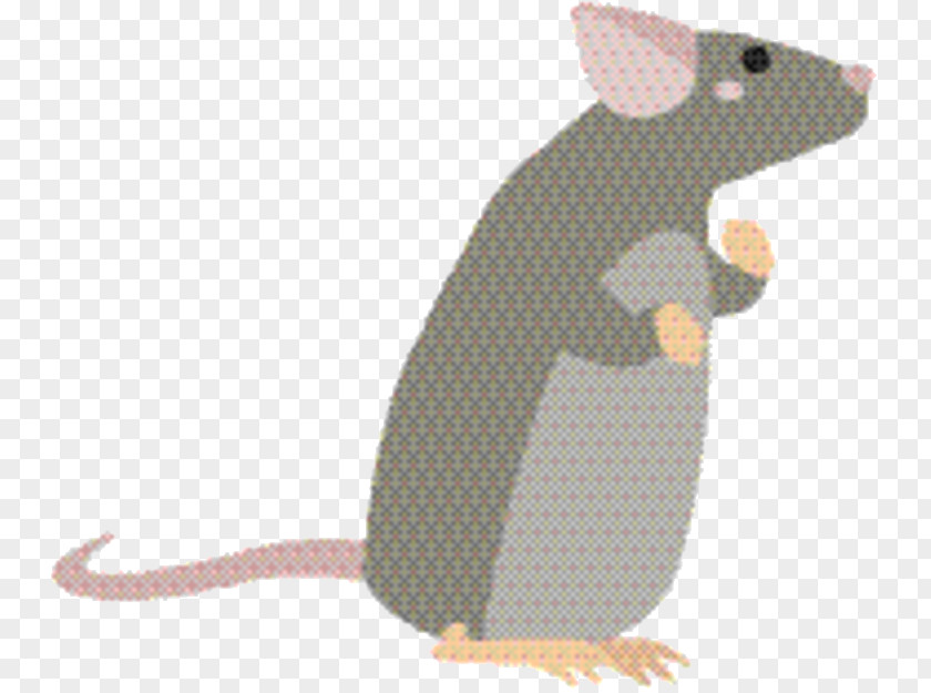 Tail Animal Figure Cartoon Mouse PNG