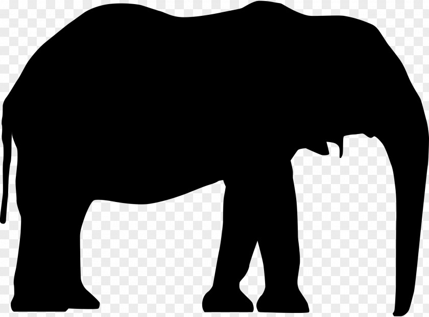 Elephant Indian African Clip Art PNG