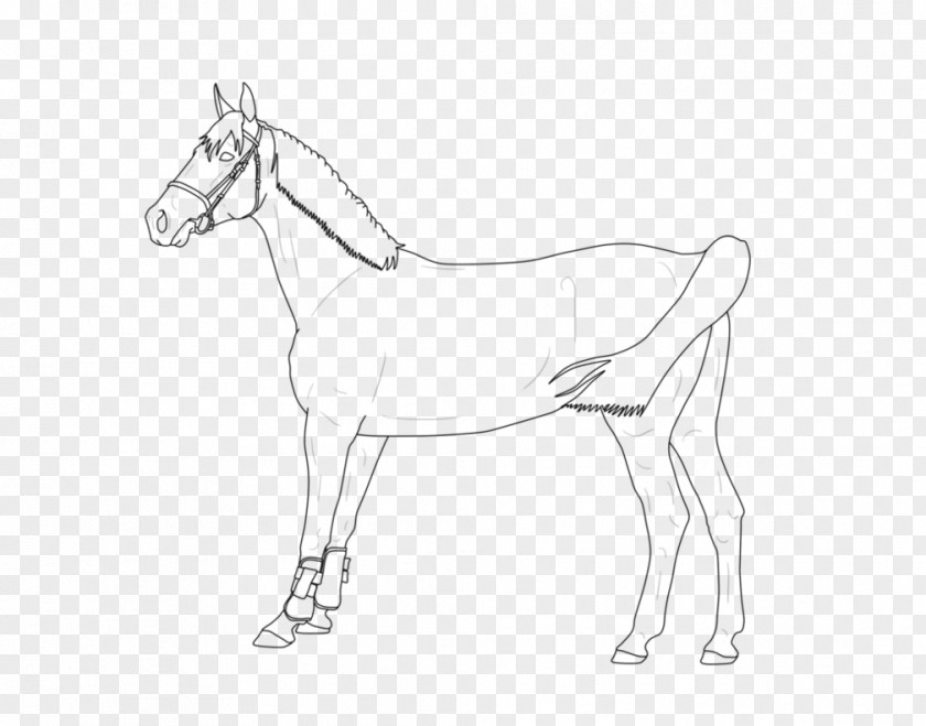 Scenery Line Drawing Mule Bridle Halter Rein Colt PNG