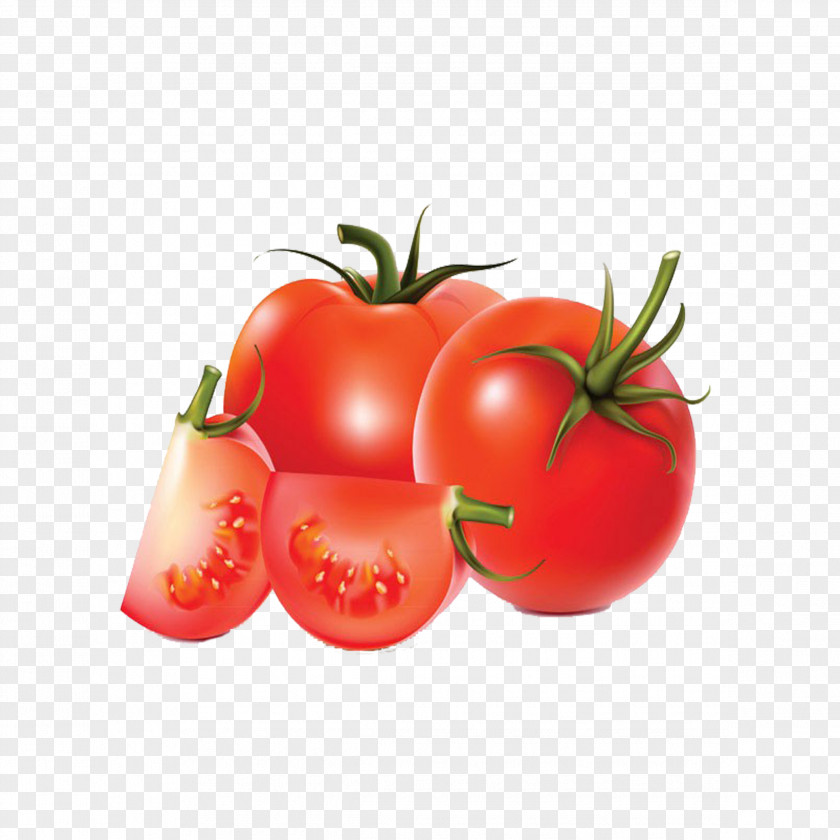 Tomato Vegetable Drawing PNG