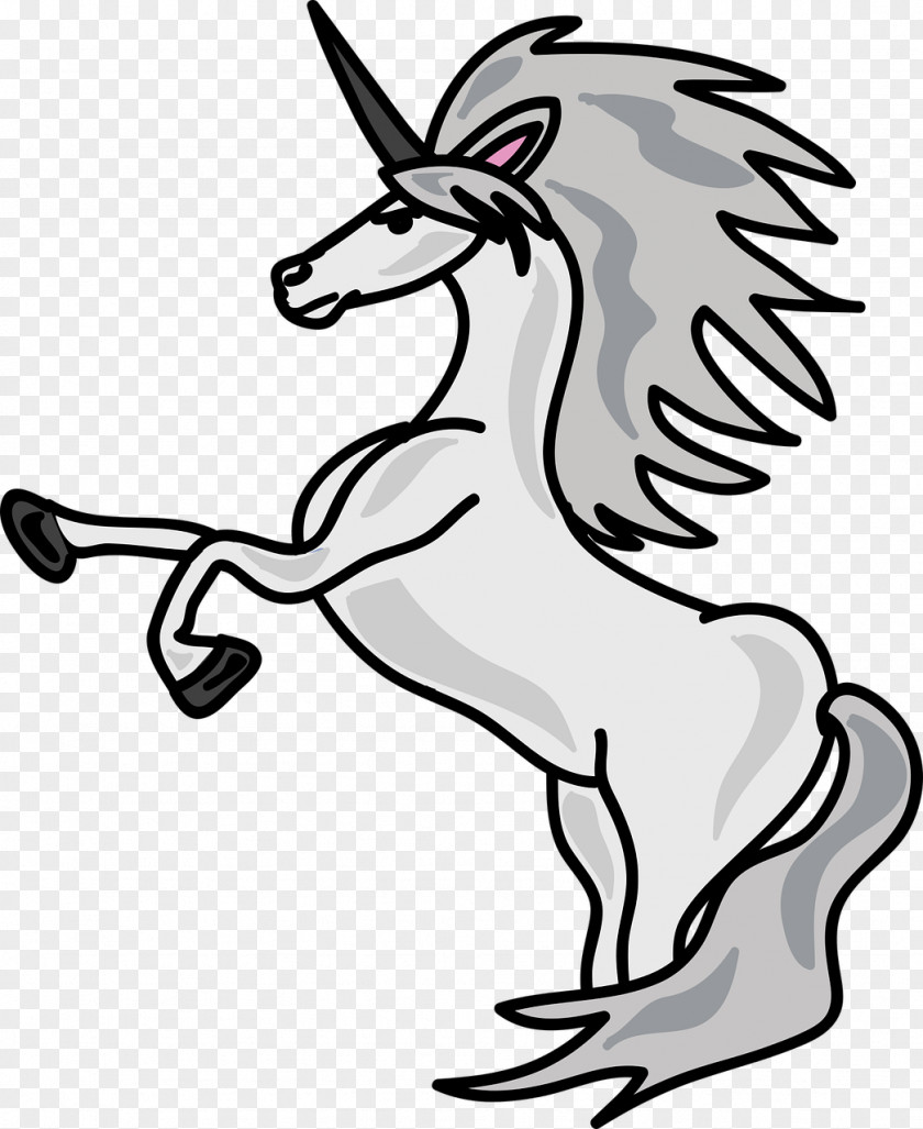 Unicorn Amazon.com PNG