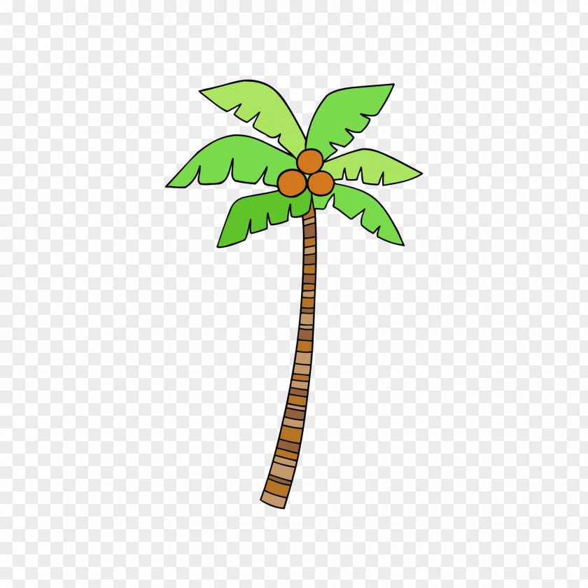 Vector Coconut Tree Euclidean PNG