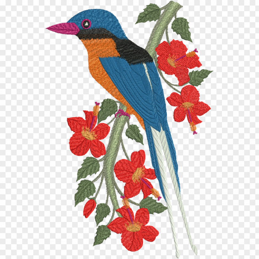 Bird Forest Kingfisher Beak Australian Golden Whistler PNG