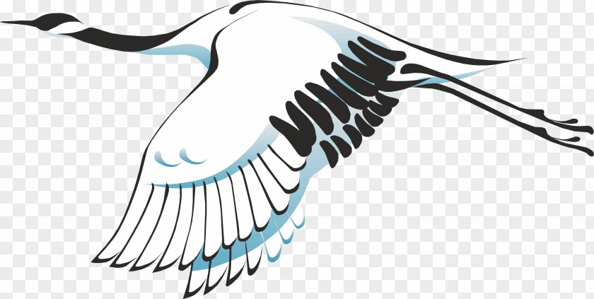 Bird Grus Great Herons Clip Art PNG