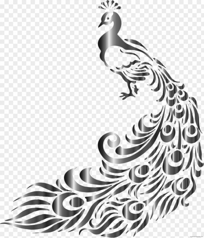 Bird Peafowl Stencil Clip Art PNG
