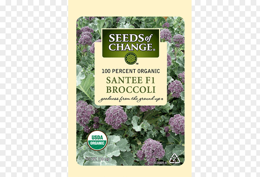 Broccoli Sprouts Spring Greens Herb Lettuce Seeds Of Change PNG