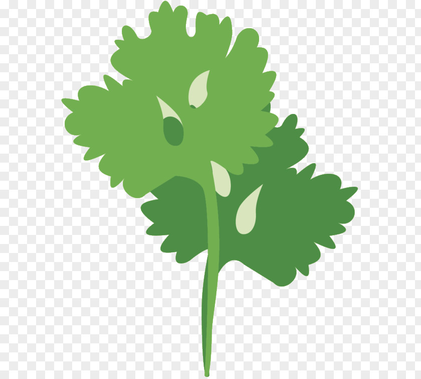 Clip Art Greens Illustration Leaf Plant Stem PNG