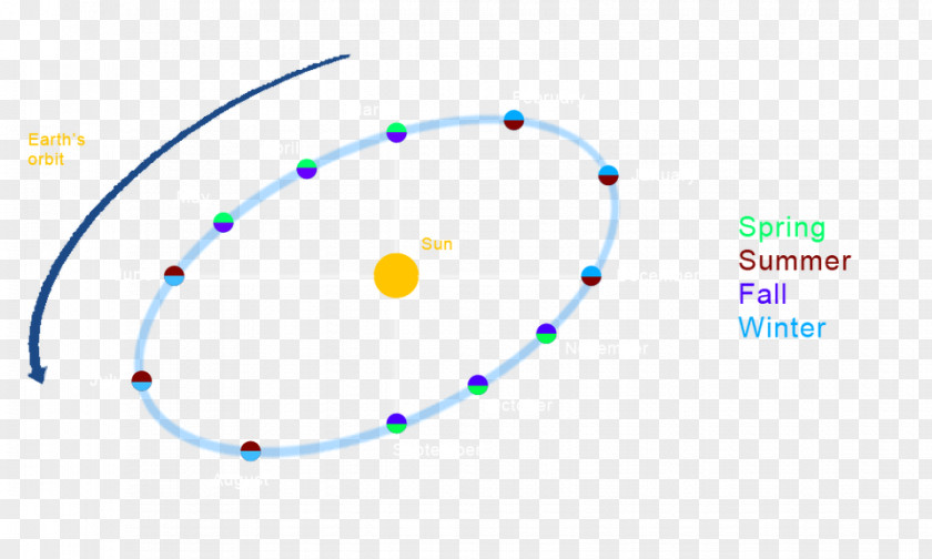Comet Orbit Around The Sun S Graphics Product Design Brand Diagram PNG