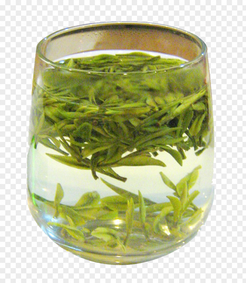 Cup Of Green Tea White Oolong Longjing PNG