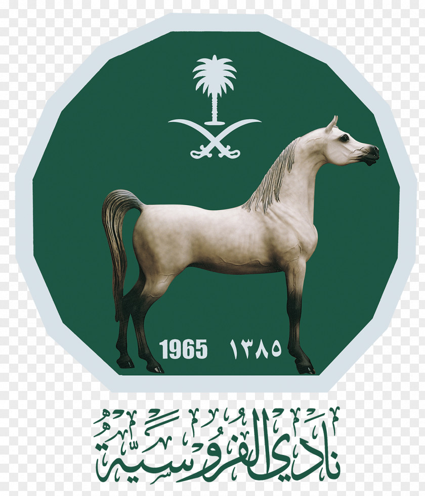 Horse نادي الفروسية في الرياض Equestrian Racing PNG