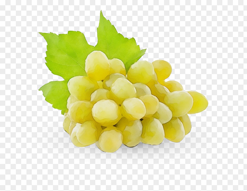 Plant Sultana Grape Seedless Fruit Grapevine Family Food PNG