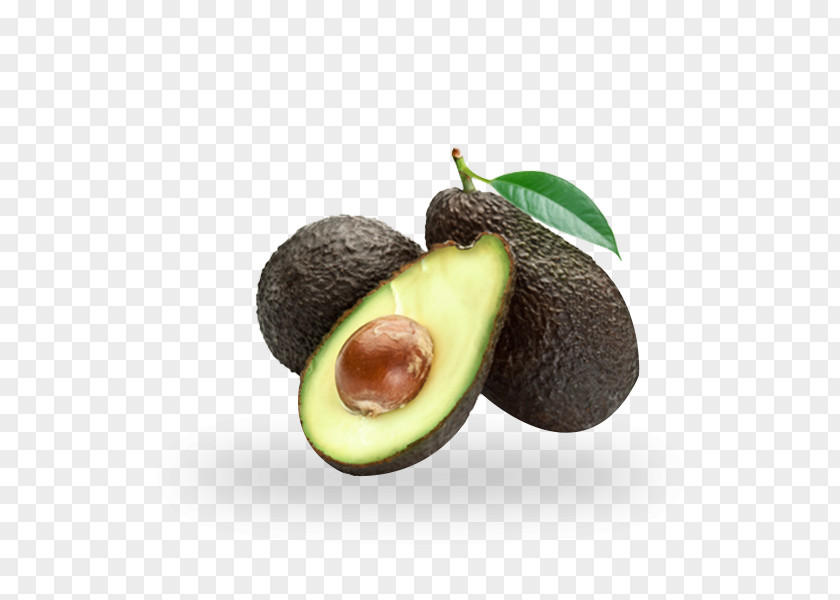 Alpukat Graphic Mexican Cuisine Hass Avocado Production In Mexico Guacamole Vegetarian PNG