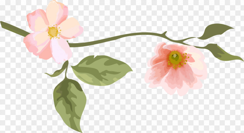 Cartoon Pink Peach Bird Floral Design Illustration PNG