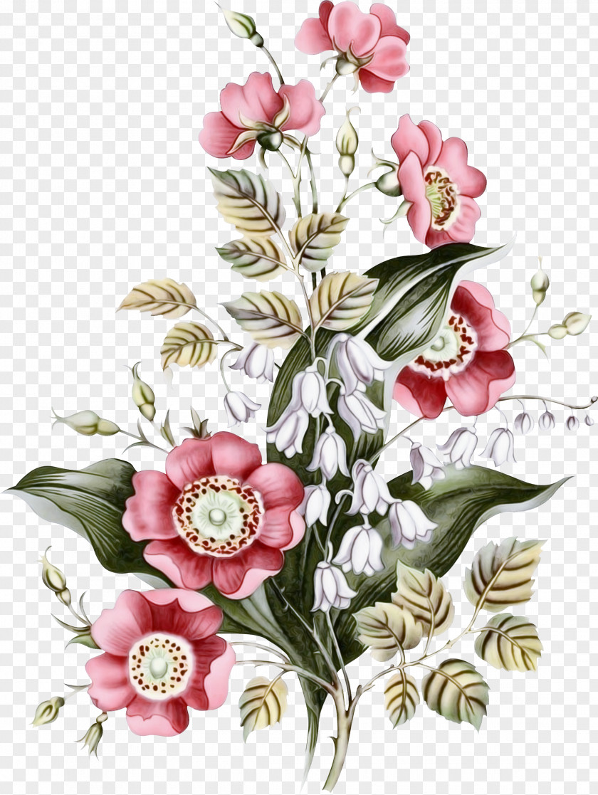 Floral Design PNG