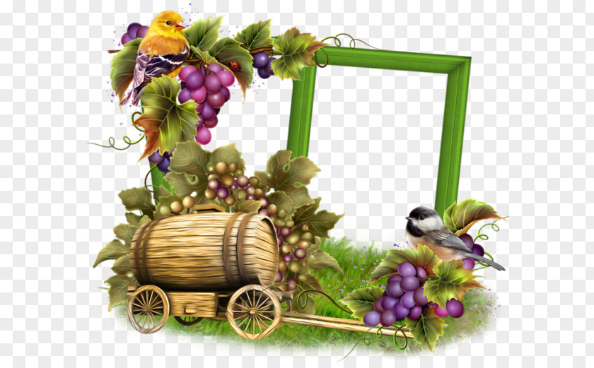 Grape Picture Frames Drawing Clip Art PNG