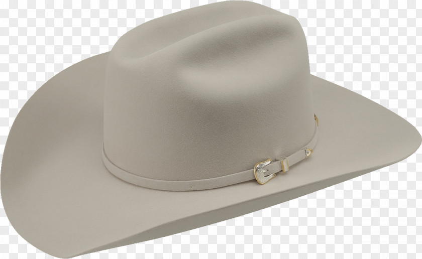 Hat Cowboy Felt American Company PNG
