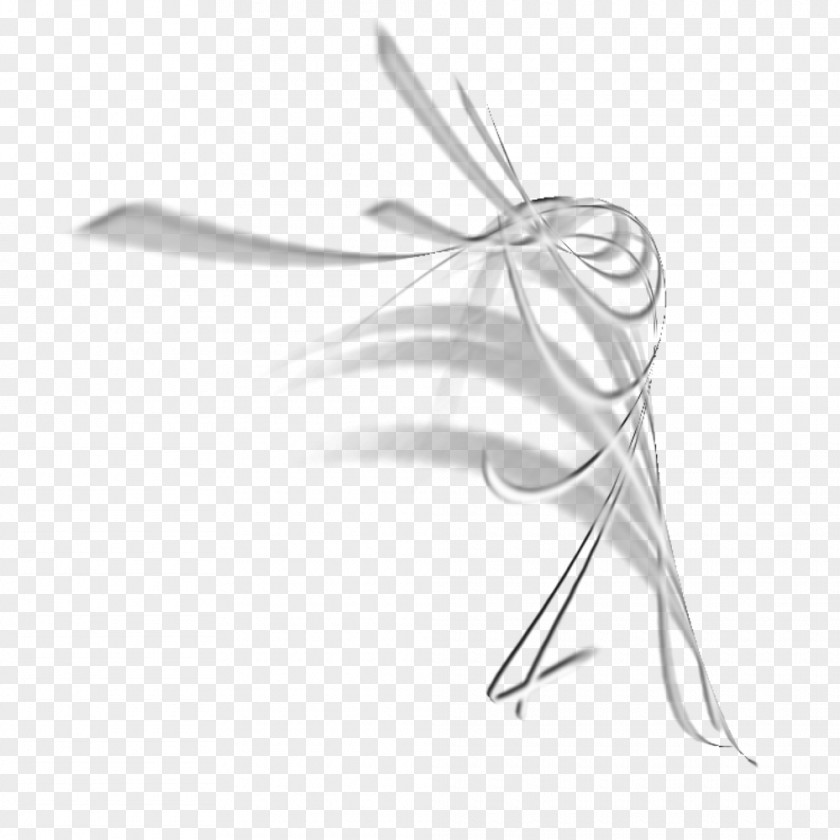 Ps Heart Brush Insect White Line Art PNG