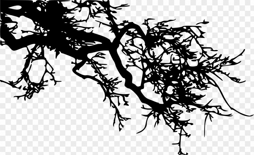 Tree Branch Silhouette Visual Arts Drawing PNG