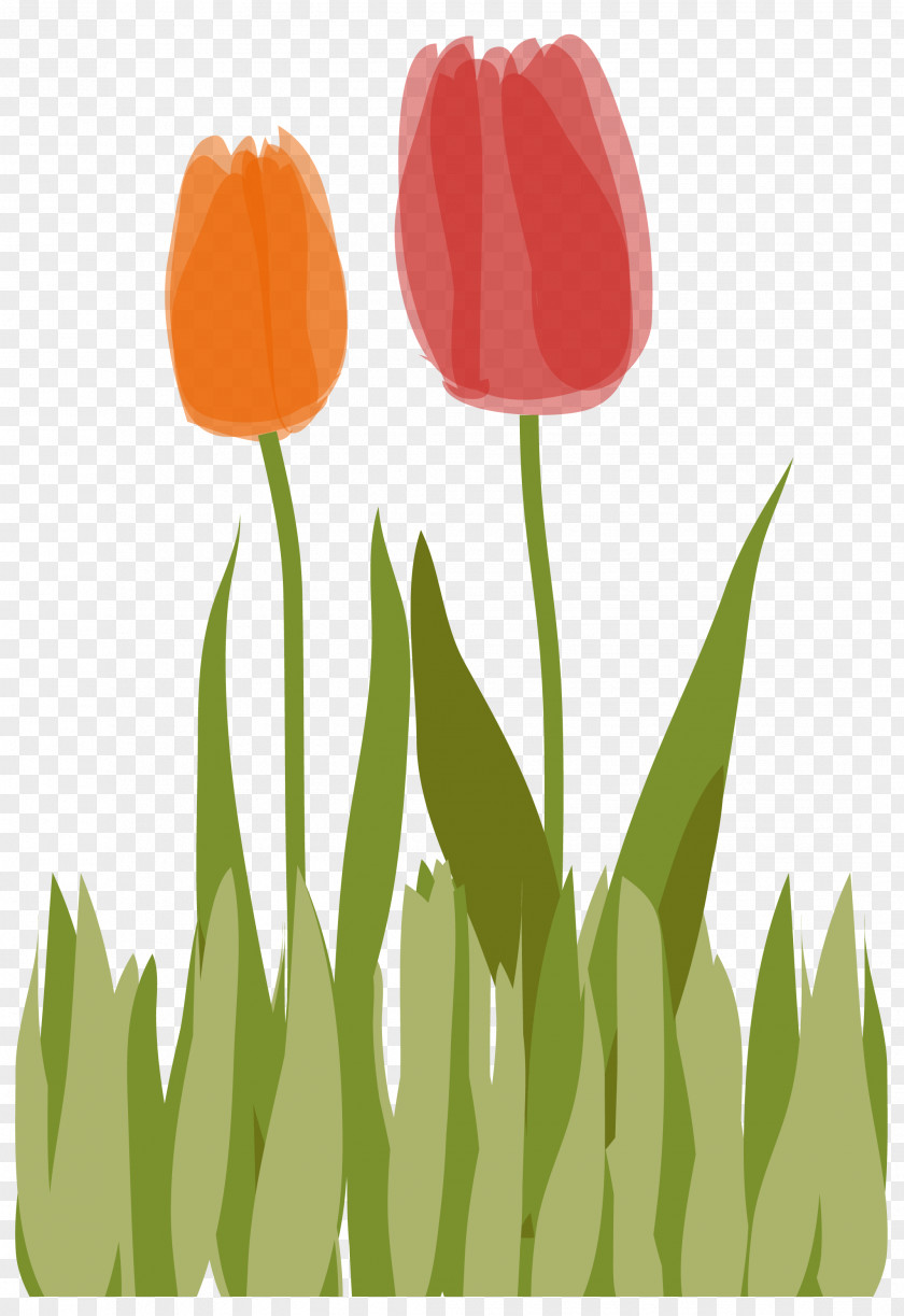 Tulip Clip Art Illustration Plant Stem Petal PNG