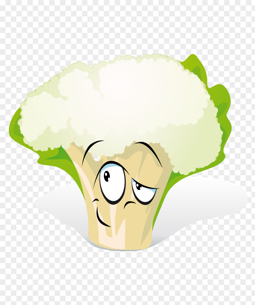 Vector Vegetable Cartoon Cauliflower Drawing PNG