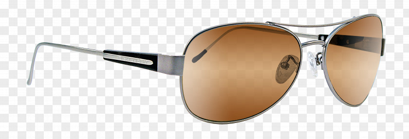 Albatross Aviator Sunglasses Eyewear Goggles PNG