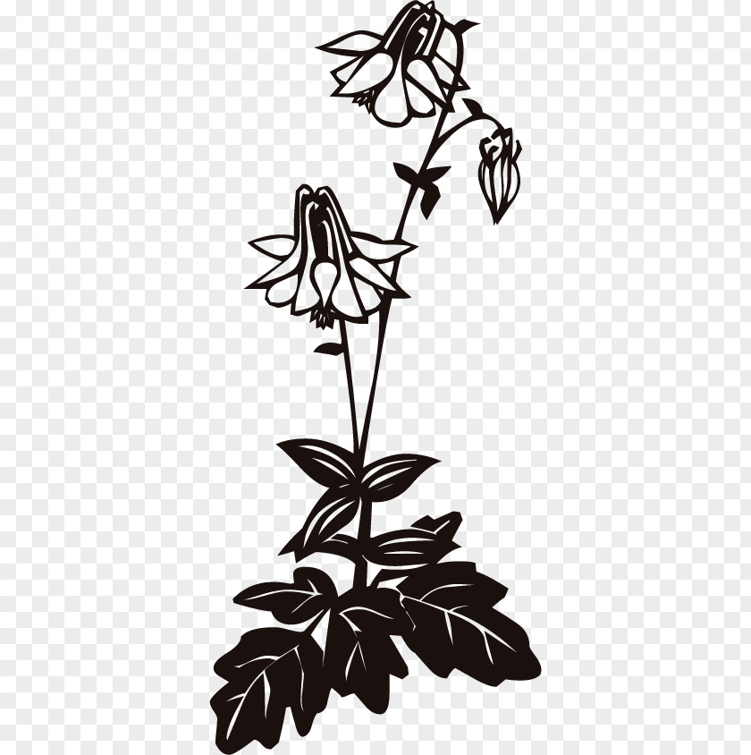 Clip Art Columbine Stock Photography Illustration Image PNG