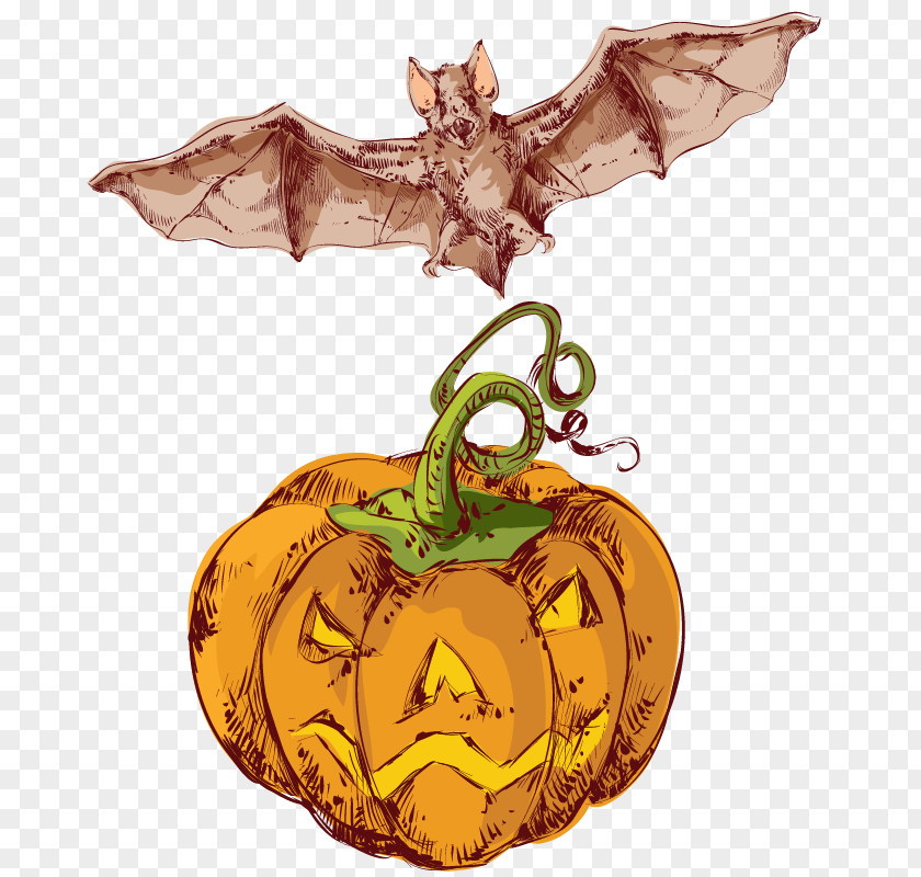 Halloween Pumpkin Bats Calabaza Winter Squash PNG