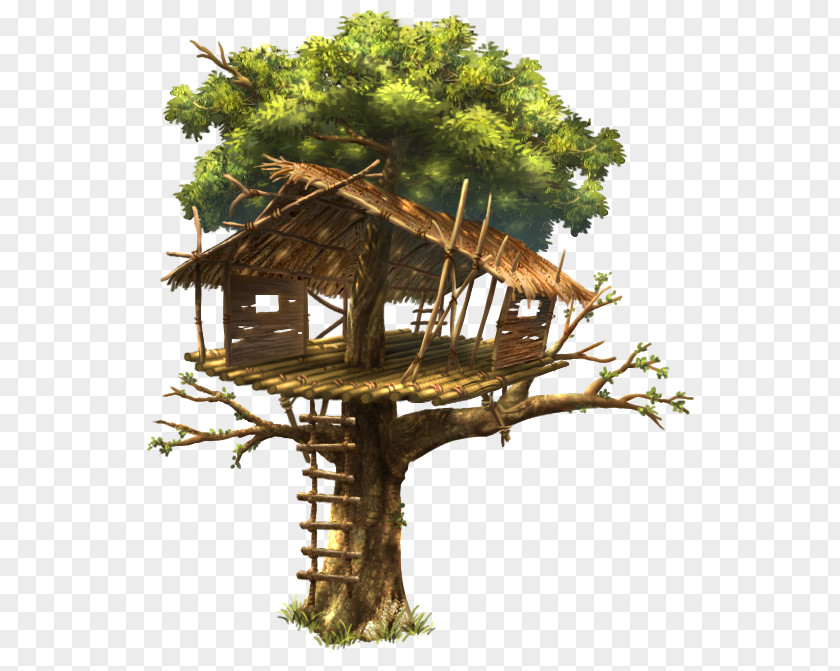 House Tree Branch Wood PNG