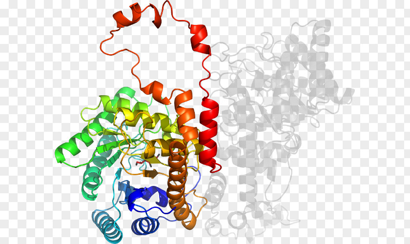 Methylmalonylcoa Clip Art Illustration Human Behavior Organism PNG