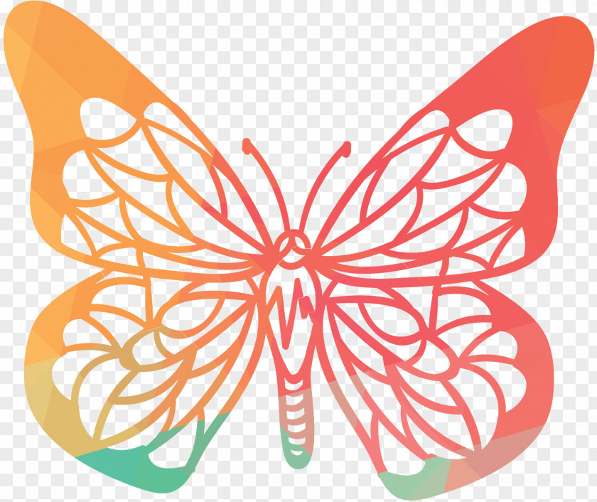 Monarch Butterfly Vector Graphics Insect Illustration PNG