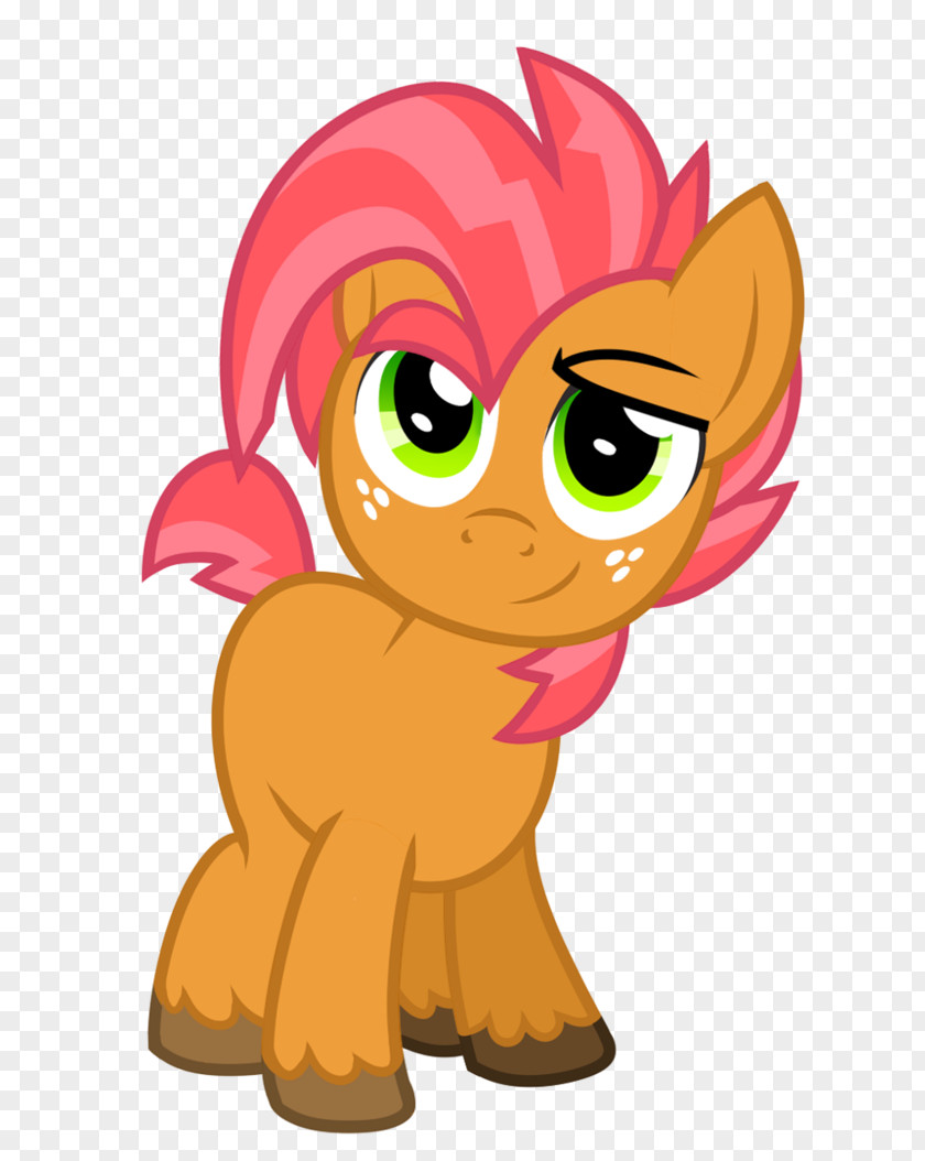 My Little Pony Twilight Sparkle Applejack Rainbow Dash Babs Seed PNG