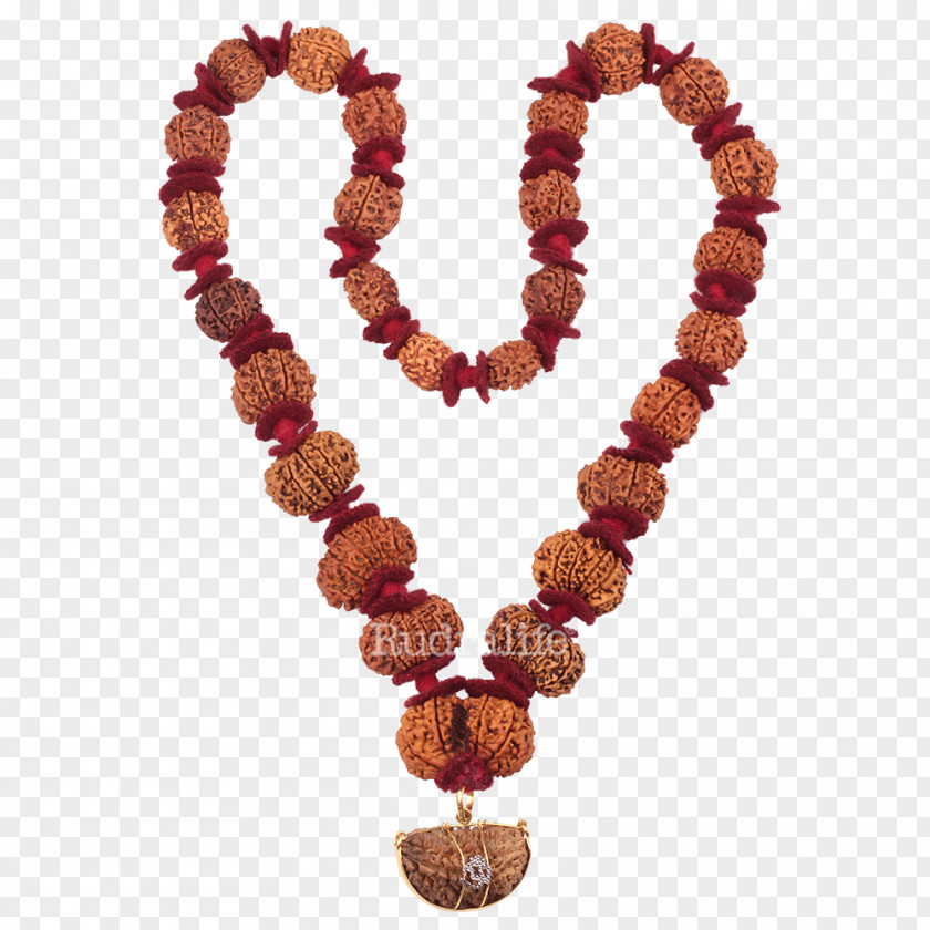 Rudraksha Buddhist Prayer Beads Mahadeva Rudralife Japamala PNG