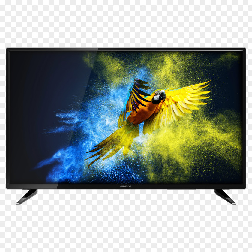 Tv LED High Efficiency Video Coding 16