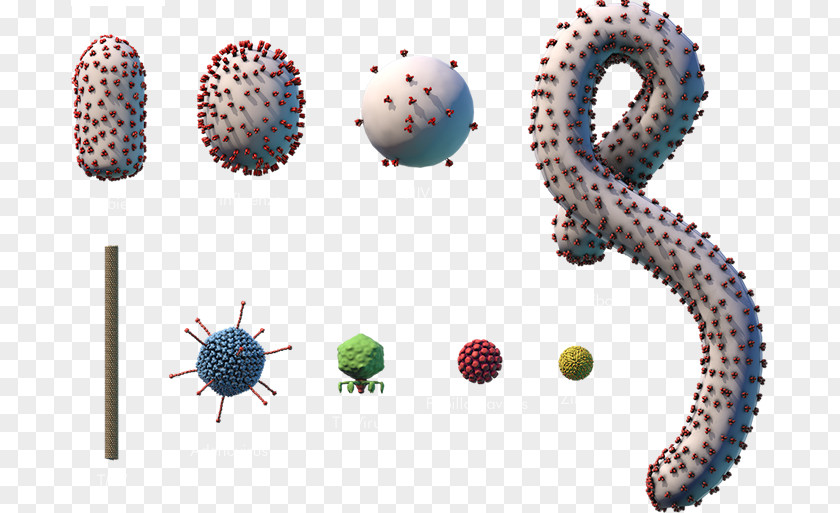 A Number Of Cancer Virus Cell Bodies Ebola Disease Microorganism EBOV Bacteria PNG